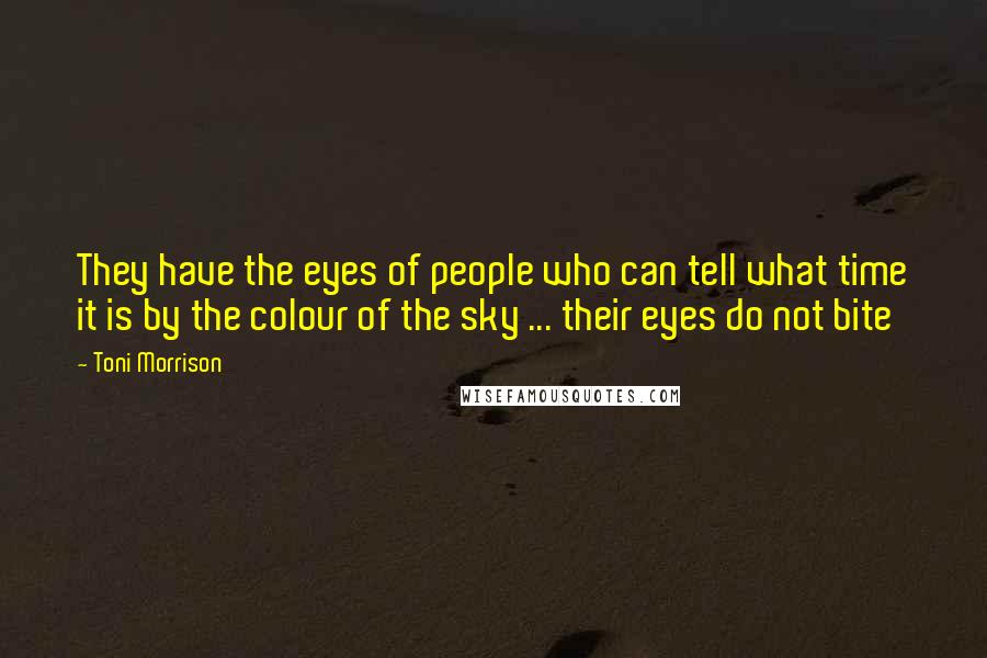 Toni Morrison Quotes: They have the eyes of people who can tell what time it is by the colour of the sky ... their eyes do not bite