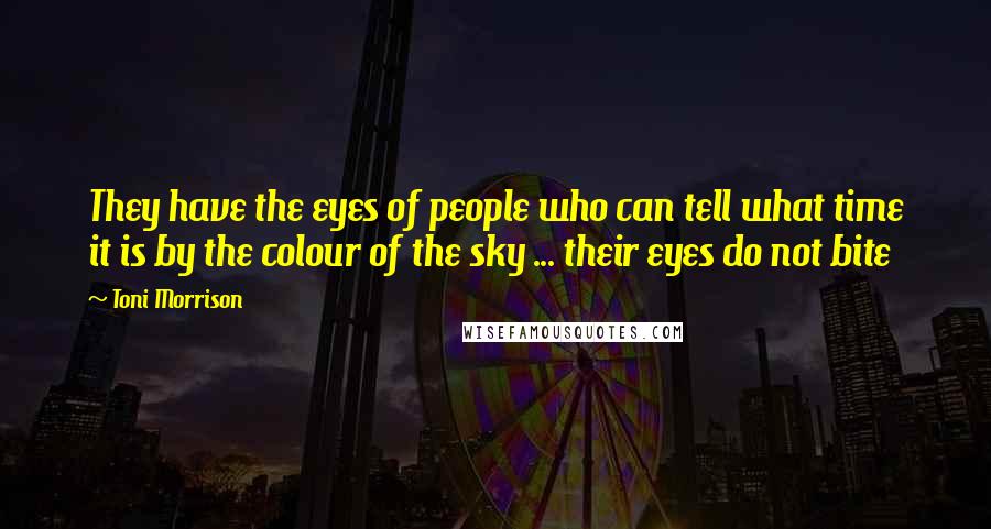 Toni Morrison Quotes: They have the eyes of people who can tell what time it is by the colour of the sky ... their eyes do not bite