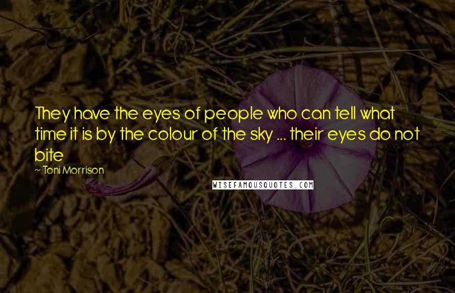 Toni Morrison Quotes: They have the eyes of people who can tell what time it is by the colour of the sky ... their eyes do not bite