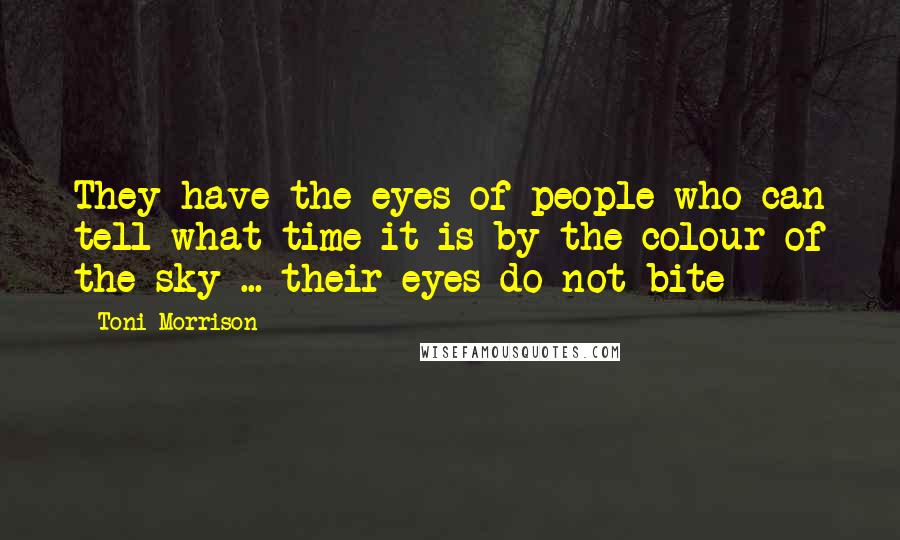 Toni Morrison Quotes: They have the eyes of people who can tell what time it is by the colour of the sky ... their eyes do not bite