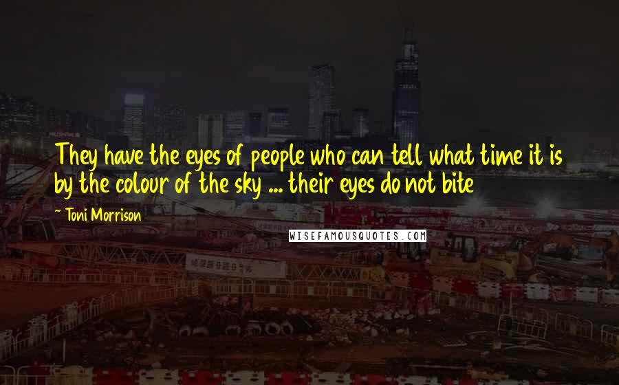 Toni Morrison Quotes: They have the eyes of people who can tell what time it is by the colour of the sky ... their eyes do not bite