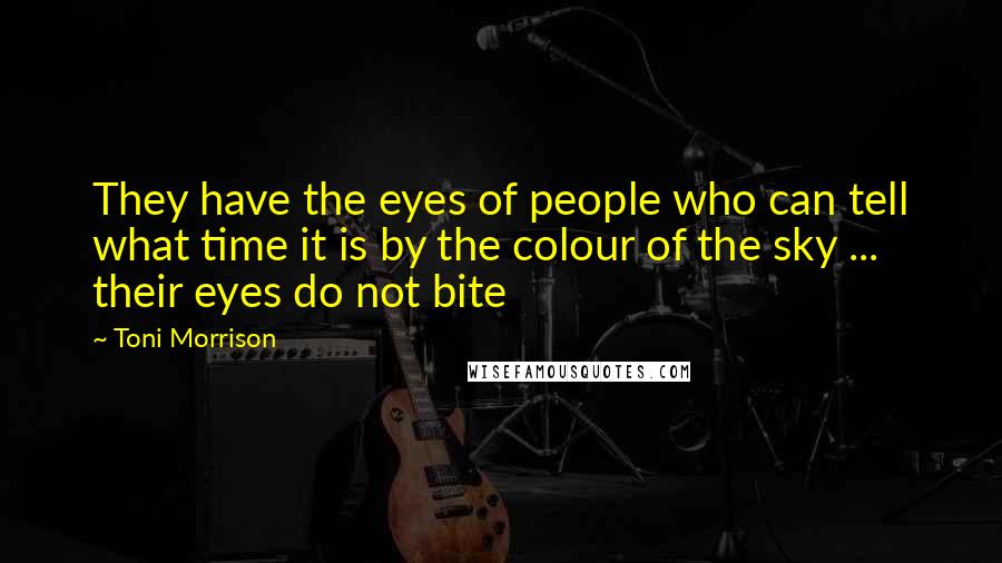 Toni Morrison Quotes: They have the eyes of people who can tell what time it is by the colour of the sky ... their eyes do not bite