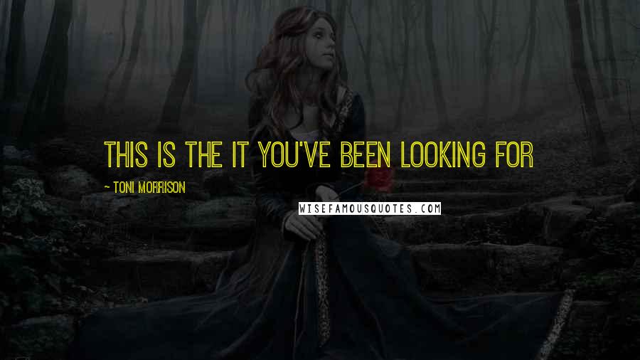 Toni Morrison Quotes: this is the it you've been looking for