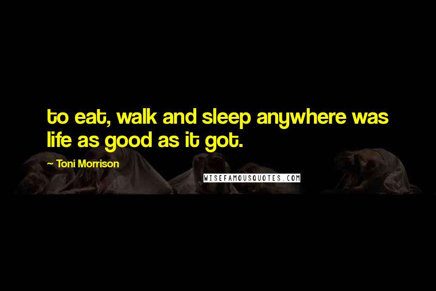 Toni Morrison Quotes: to eat, walk and sleep anywhere was life as good as it got.