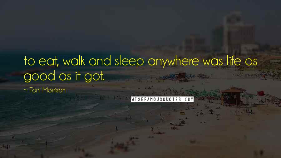 Toni Morrison Quotes: to eat, walk and sleep anywhere was life as good as it got.