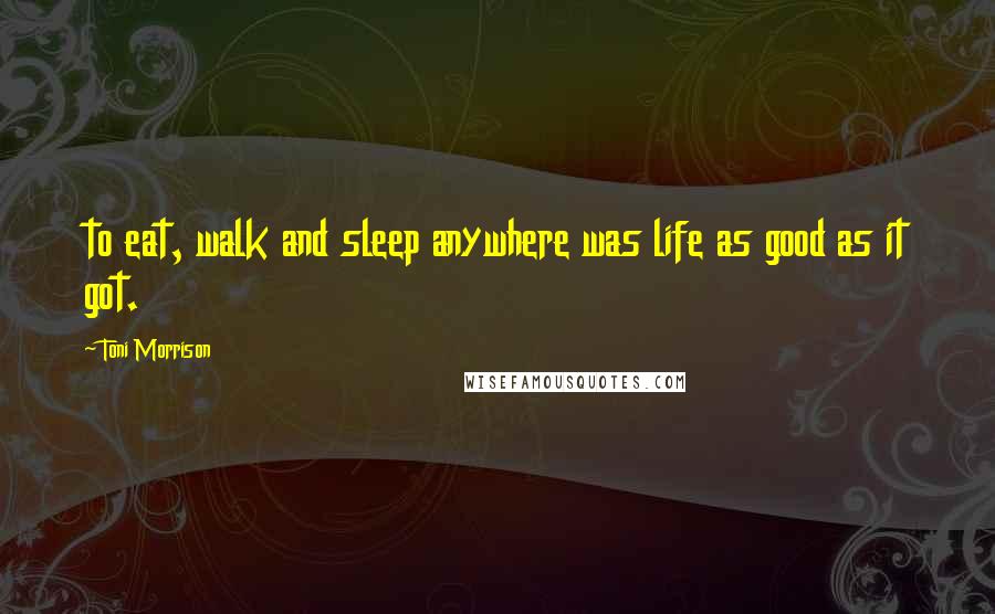 Toni Morrison Quotes: to eat, walk and sleep anywhere was life as good as it got.