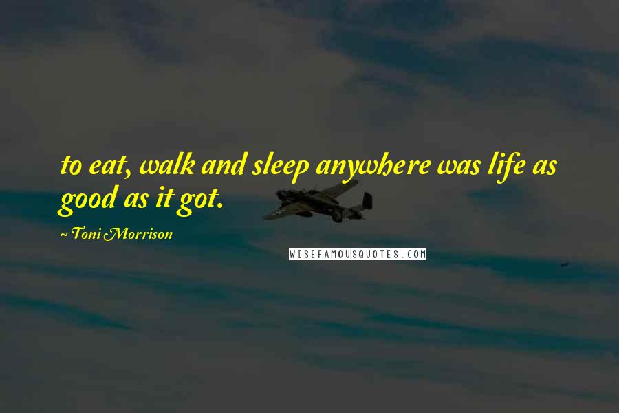 Toni Morrison Quotes: to eat, walk and sleep anywhere was life as good as it got.