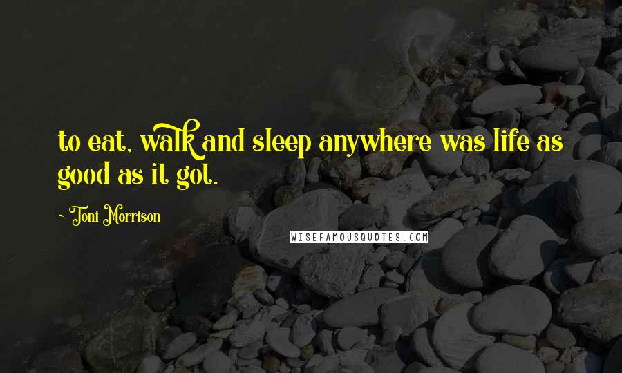 Toni Morrison Quotes: to eat, walk and sleep anywhere was life as good as it got.