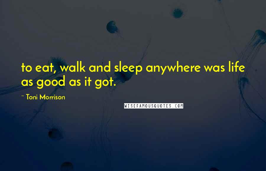 Toni Morrison Quotes: to eat, walk and sleep anywhere was life as good as it got.