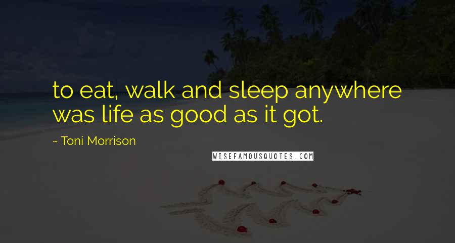 Toni Morrison Quotes: to eat, walk and sleep anywhere was life as good as it got.