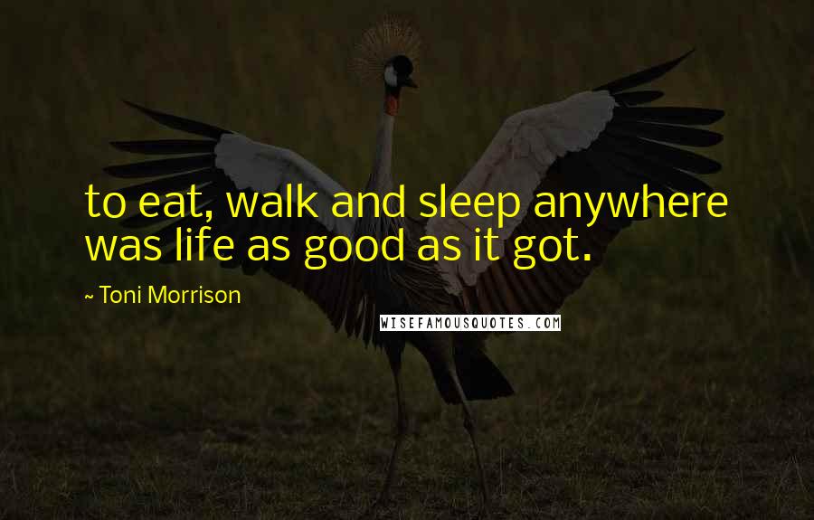 Toni Morrison Quotes: to eat, walk and sleep anywhere was life as good as it got.