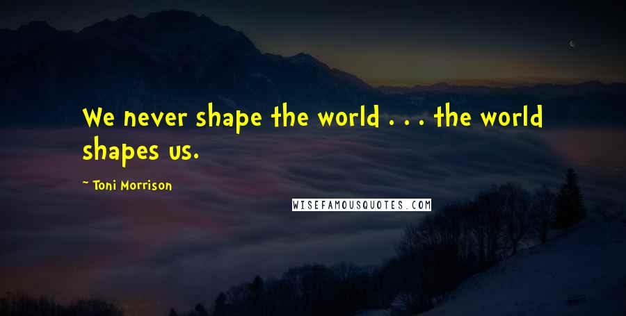 Toni Morrison Quotes: We never shape the world . . . the world shapes us.