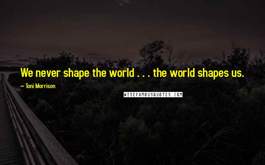 Toni Morrison Quotes: We never shape the world . . . the world shapes us.