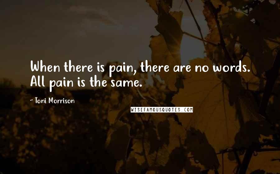 Toni Morrison Quotes: When there is pain, there are no words. All pain is the same.