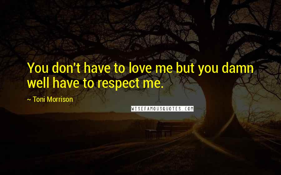 Toni Morrison Quotes: You don't have to love me but you damn well have to respect me.