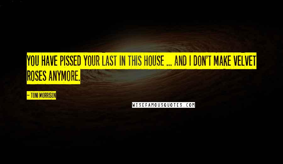 Toni Morrison Quotes: You have pissed your last in this house ... and I don't make velvet roses anymore.