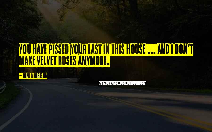 Toni Morrison Quotes: You have pissed your last in this house ... and I don't make velvet roses anymore.