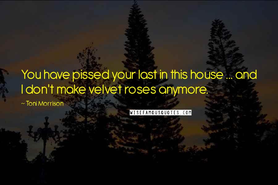 Toni Morrison Quotes: You have pissed your last in this house ... and I don't make velvet roses anymore.
