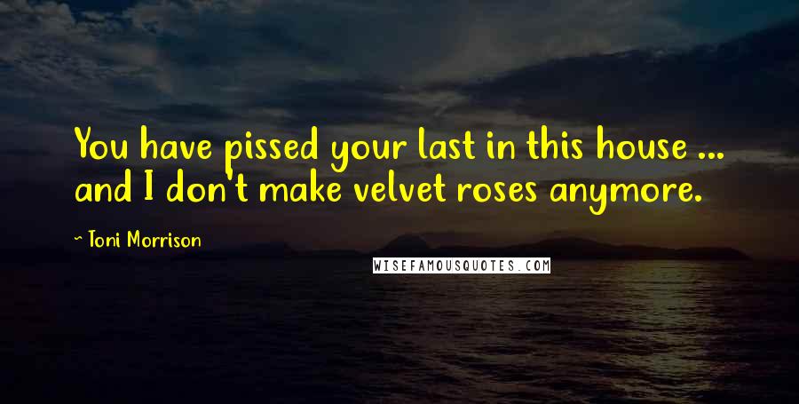 Toni Morrison Quotes: You have pissed your last in this house ... and I don't make velvet roses anymore.