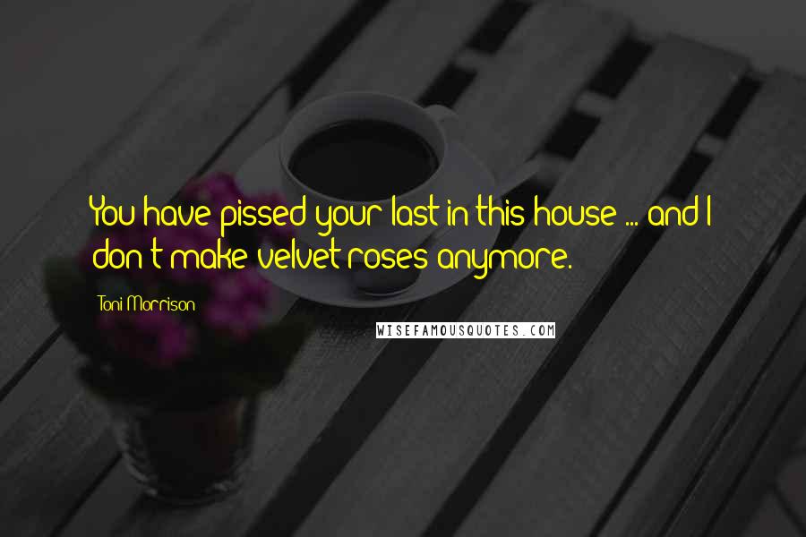 Toni Morrison Quotes: You have pissed your last in this house ... and I don't make velvet roses anymore.