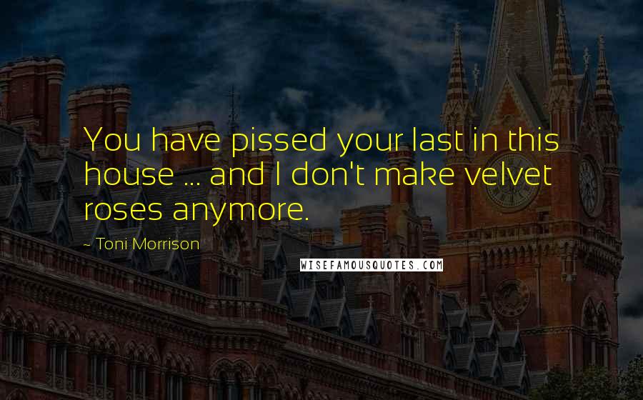 Toni Morrison Quotes: You have pissed your last in this house ... and I don't make velvet roses anymore.
