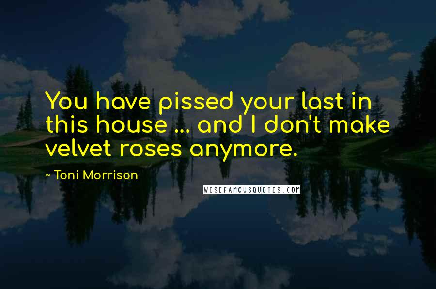 Toni Morrison Quotes: You have pissed your last in this house ... and I don't make velvet roses anymore.