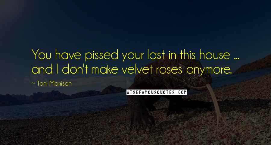 Toni Morrison Quotes: You have pissed your last in this house ... and I don't make velvet roses anymore.