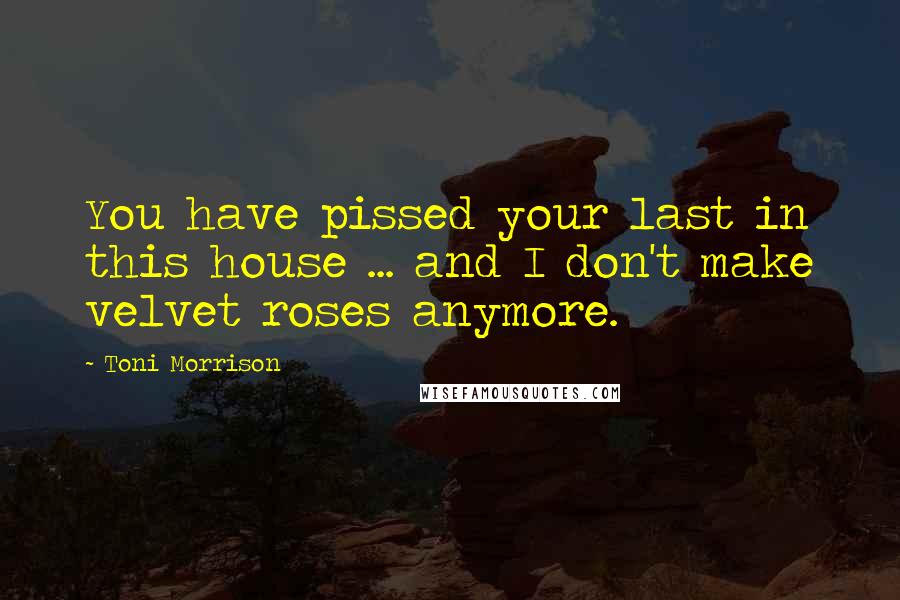Toni Morrison Quotes: You have pissed your last in this house ... and I don't make velvet roses anymore.