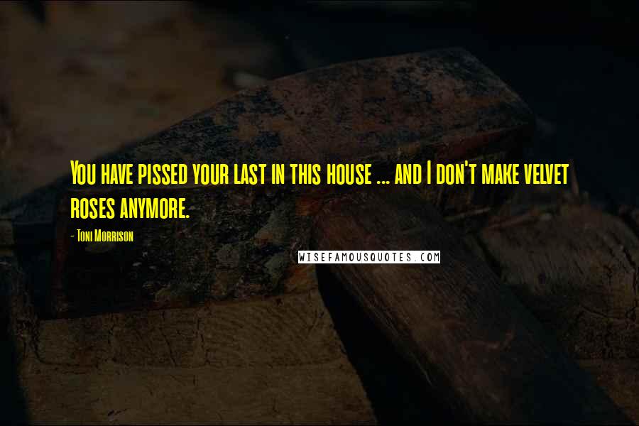 Toni Morrison Quotes: You have pissed your last in this house ... and I don't make velvet roses anymore.
