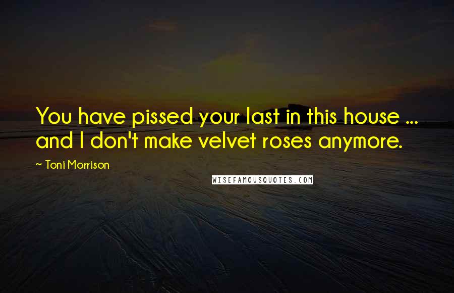 Toni Morrison Quotes: You have pissed your last in this house ... and I don't make velvet roses anymore.