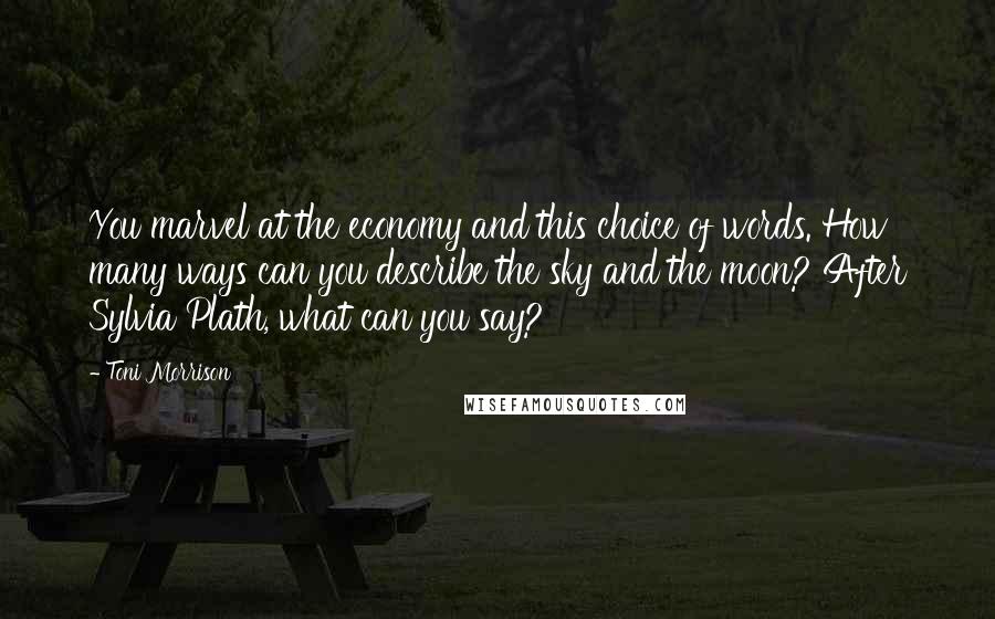 Toni Morrison Quotes: You marvel at the economy and this choice of words. How many ways can you describe the sky and the moon? After Sylvia Plath, what can you say?