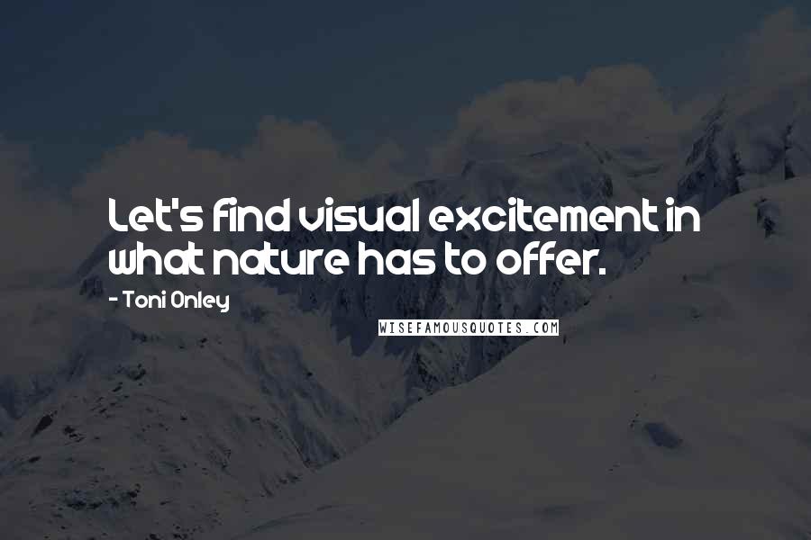 Toni Onley Quotes: Let's find visual excitement in what nature has to offer.