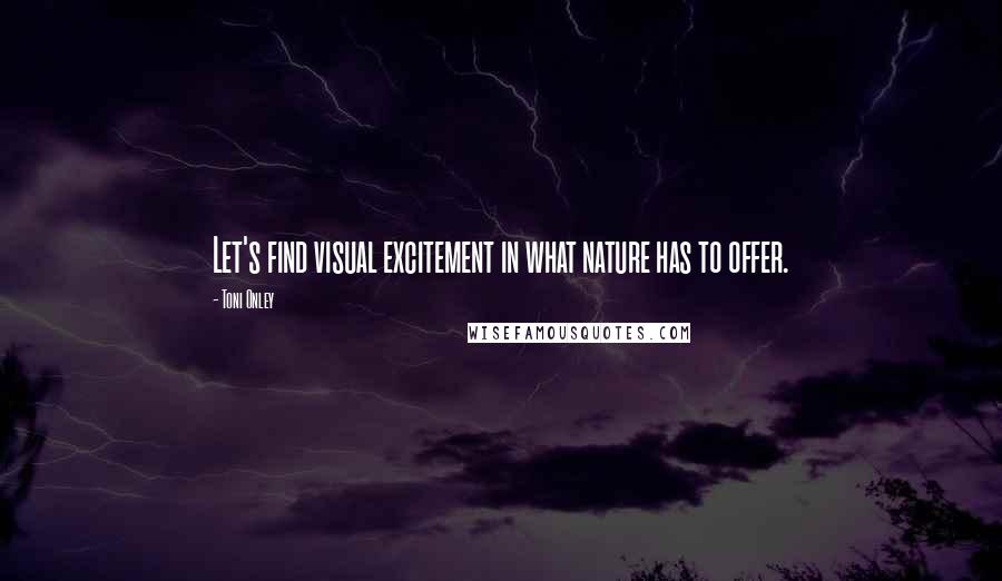 Toni Onley Quotes: Let's find visual excitement in what nature has to offer.