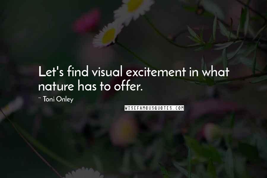 Toni Onley Quotes: Let's find visual excitement in what nature has to offer.