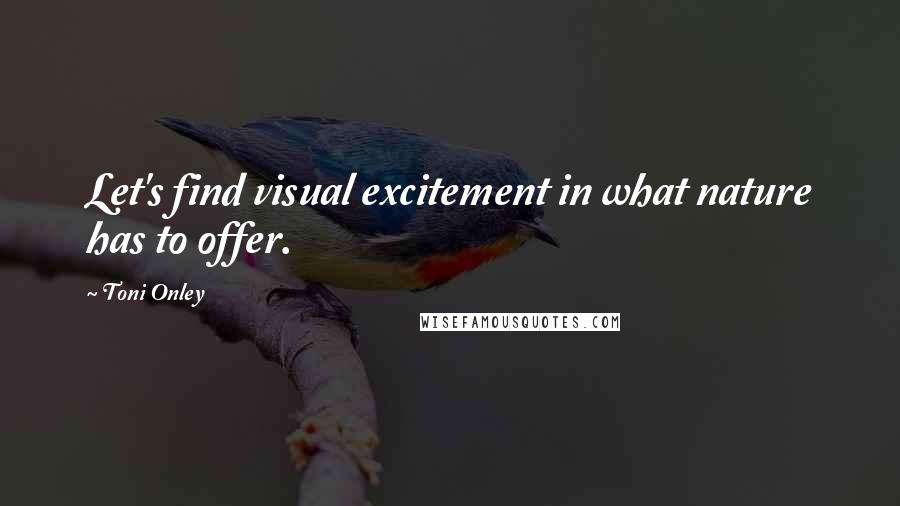 Toni Onley Quotes: Let's find visual excitement in what nature has to offer.