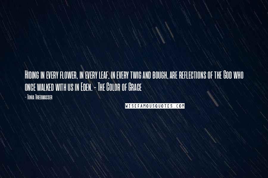 Tonia Triebwasser Quotes: Hiding in every flower, in every leaf, in every twig and bough, are reflections of the God who once walked with us in Eden. - The Color of Grace