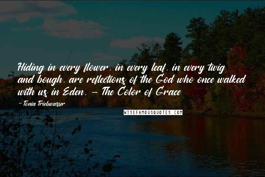 Tonia Triebwasser Quotes: Hiding in every flower, in every leaf, in every twig and bough, are reflections of the God who once walked with us in Eden. - The Color of Grace