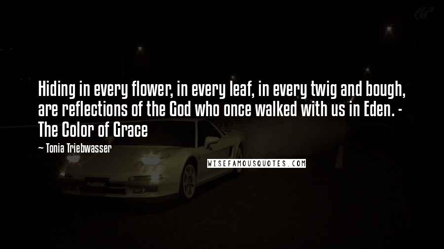 Tonia Triebwasser Quotes: Hiding in every flower, in every leaf, in every twig and bough, are reflections of the God who once walked with us in Eden. - The Color of Grace