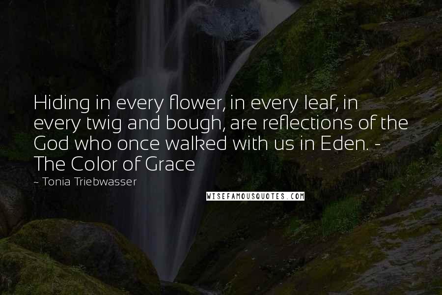 Tonia Triebwasser Quotes: Hiding in every flower, in every leaf, in every twig and bough, are reflections of the God who once walked with us in Eden. - The Color of Grace