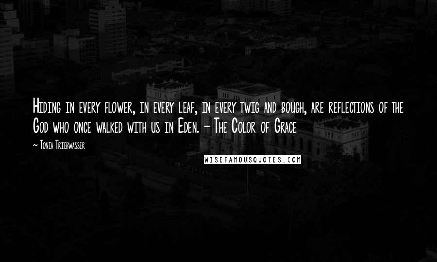 Tonia Triebwasser Quotes: Hiding in every flower, in every leaf, in every twig and bough, are reflections of the God who once walked with us in Eden. - The Color of Grace