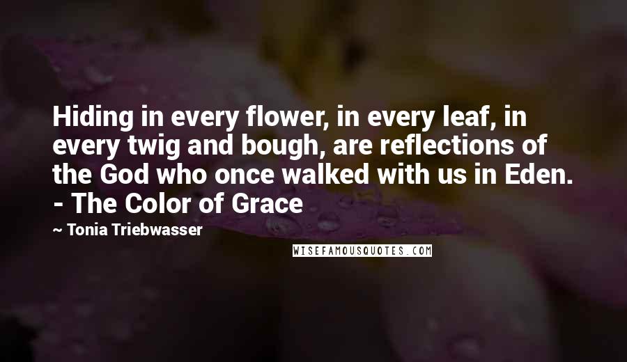 Tonia Triebwasser Quotes: Hiding in every flower, in every leaf, in every twig and bough, are reflections of the God who once walked with us in Eden. - The Color of Grace