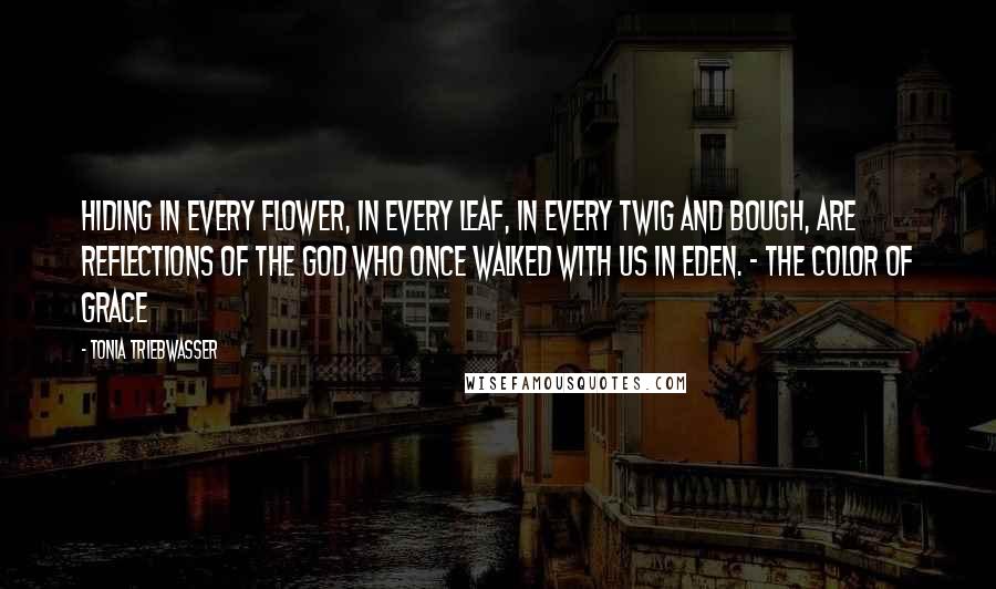 Tonia Triebwasser Quotes: Hiding in every flower, in every leaf, in every twig and bough, are reflections of the God who once walked with us in Eden. - The Color of Grace