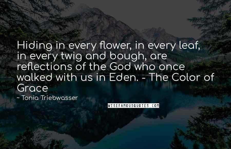 Tonia Triebwasser Quotes: Hiding in every flower, in every leaf, in every twig and bough, are reflections of the God who once walked with us in Eden. - The Color of Grace