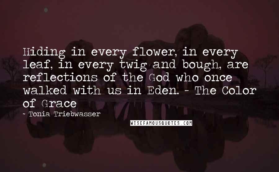 Tonia Triebwasser Quotes: Hiding in every flower, in every leaf, in every twig and bough, are reflections of the God who once walked with us in Eden. - The Color of Grace