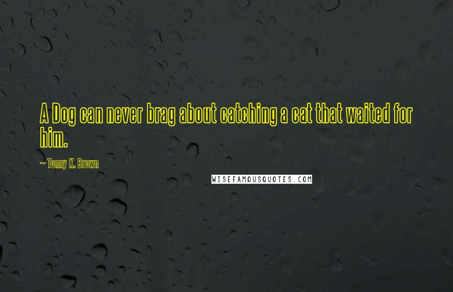 Tonny K. Brown Quotes: A Dog can never brag about catching a cat that waited for him.