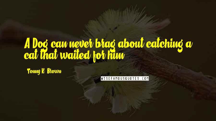 Tonny K. Brown Quotes: A Dog can never brag about catching a cat that waited for him.