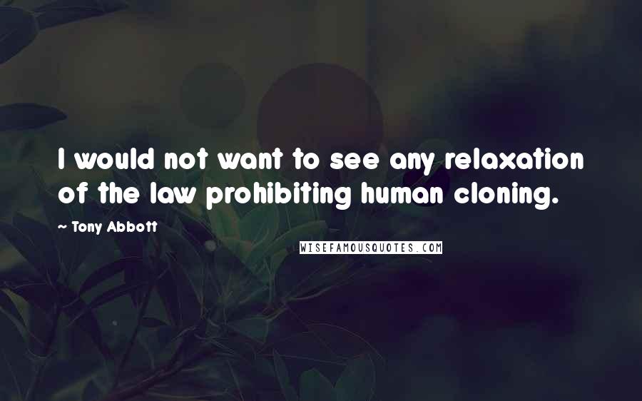 Tony Abbott Quotes: I would not want to see any relaxation of the law prohibiting human cloning.