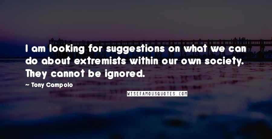 Tony Campolo Quotes: I am looking for suggestions on what we can do about extremists within our own society. They cannot be ignored.