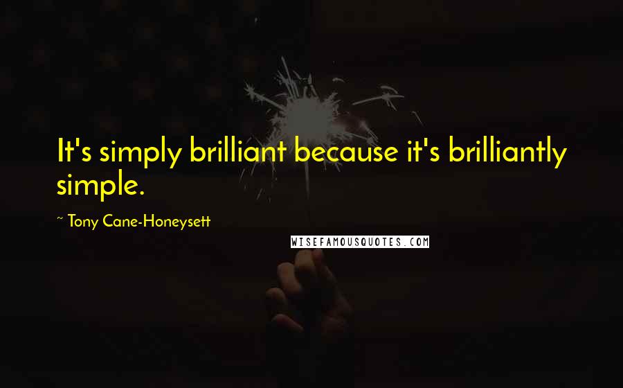 Tony Cane-Honeysett Quotes: It's simply brilliant because it's brilliantly simple.