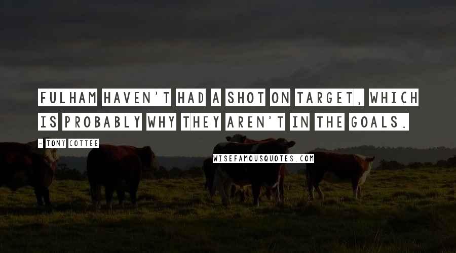 Tony Cottee Quotes: Fulham haven't had a shot on target, which is probably why they aren't in the goals.